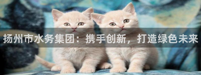 彩虹多多靠谱吗