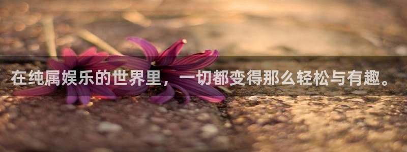 彩虹多多官网版