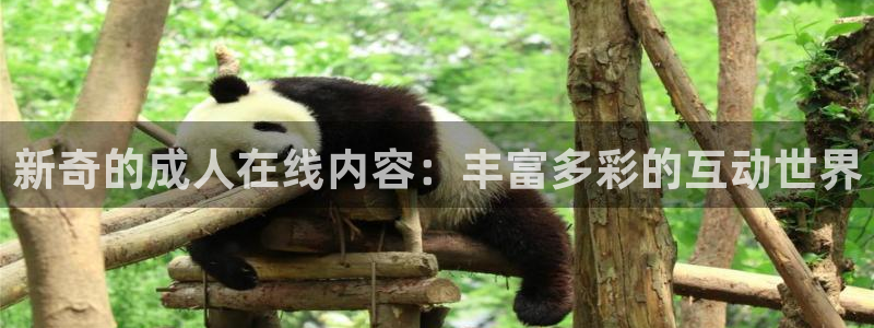 多多有彩 彩虹多多