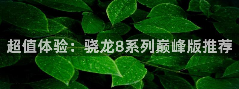 彩虹多多pc版