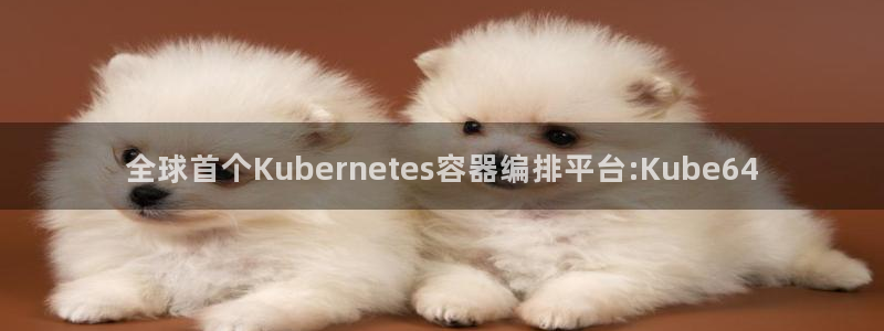 彩虹多多下载安装到手机