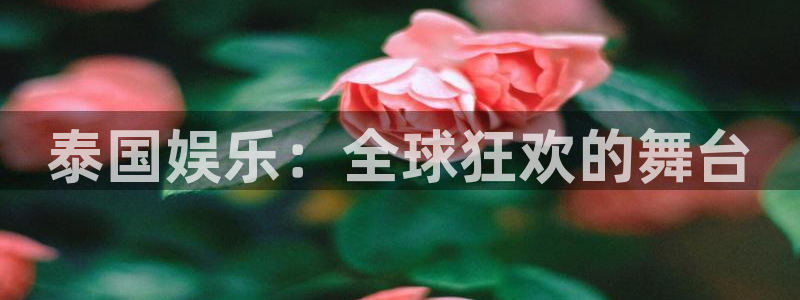 app彩虹多多