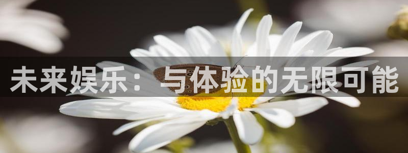 免费下载彩虹多多
