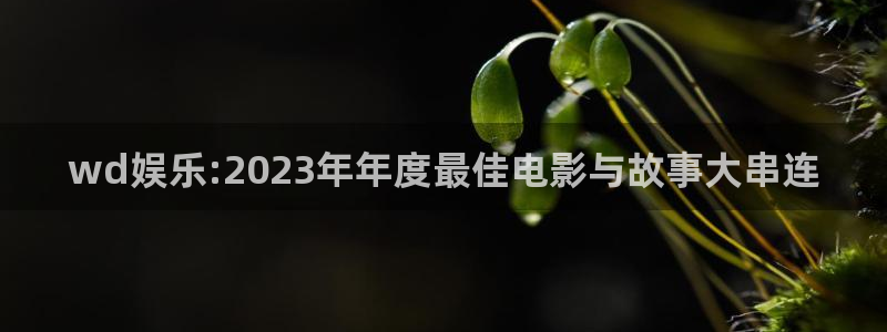 彩虹多多app最新版本