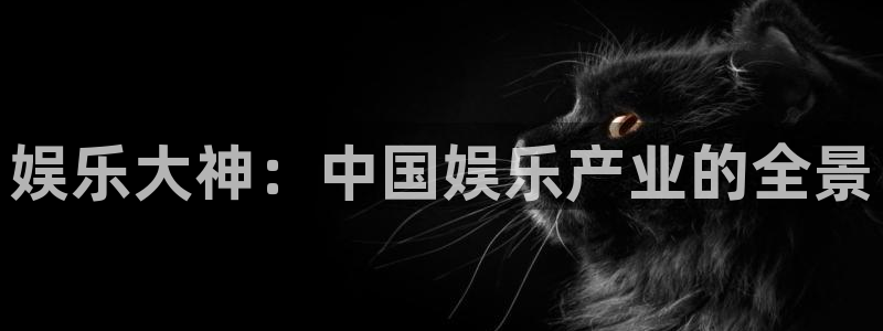 彩虹多多下载