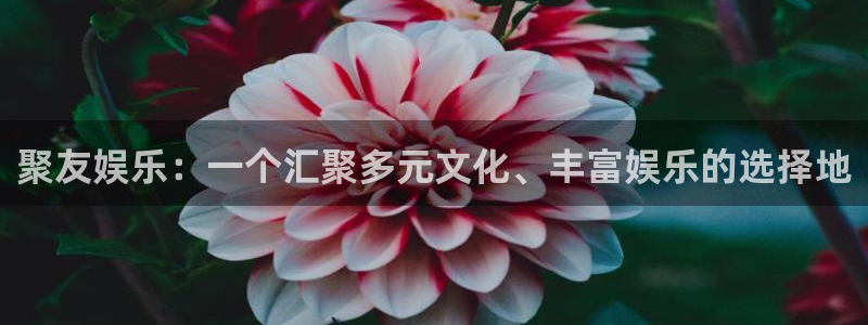 彩虹多多选号工具