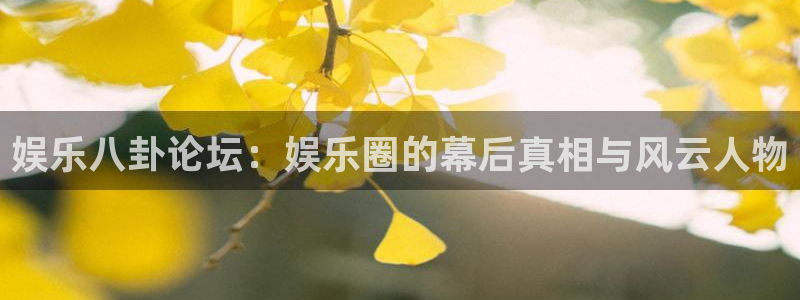 彩虹多多下载地址