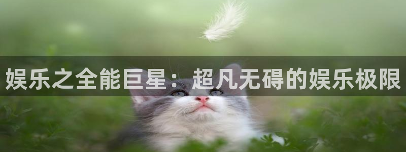 彩虹多多pro：娱乐之全能巨星：超凡无碍的娱乐极限