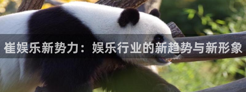 彩虹多多免费下载：崔娱乐新势力：娱乐行业的新趋势与新形象