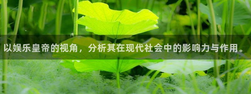 彩虹多多是不是正规网站：以娱乐皇帝的视角，分析其在现代社会中的影响力与作用。