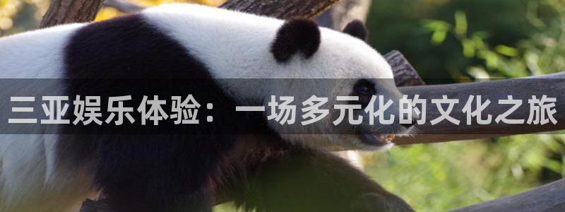 彩虹多多专属版：三亚娱乐体验：一场多元化的文化之旅