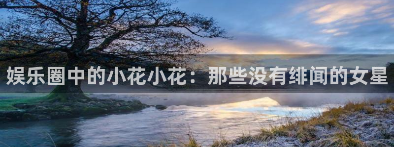 彩虹多多.：娱乐圈中的小花小花：那些没有绯闻的女星