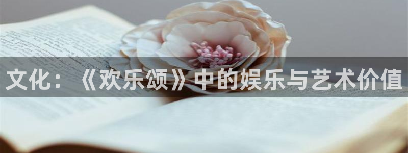 /彩虹多多：文化：《欢乐颂》中的娱乐与艺术价值