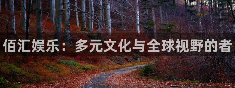 彩虹多多苹果版：佰汇娱乐：多元文化与全球视野的者