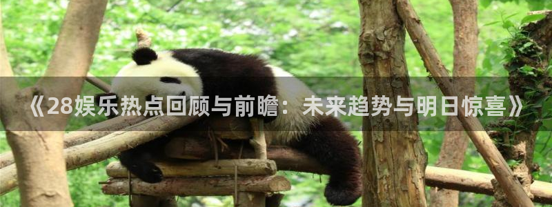 彩虹多多专享版：《28娱乐热点回顾与前瞻：未来趋势与明日惊喜》