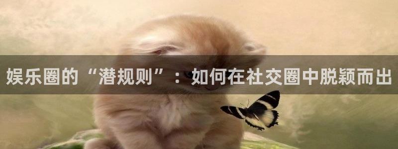 彩虹多多698免费版：娱乐圈的“潜规则”：如何在社交圈中脱颖而出