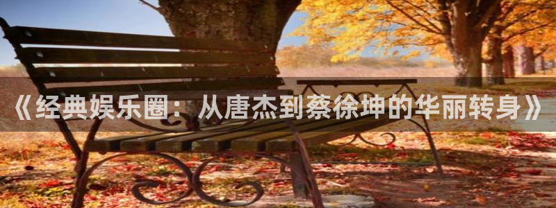 彩虹多多苹果版为什么不能下载了：《经典娱乐圈：从唐杰到蔡徐坤的华丽转身》