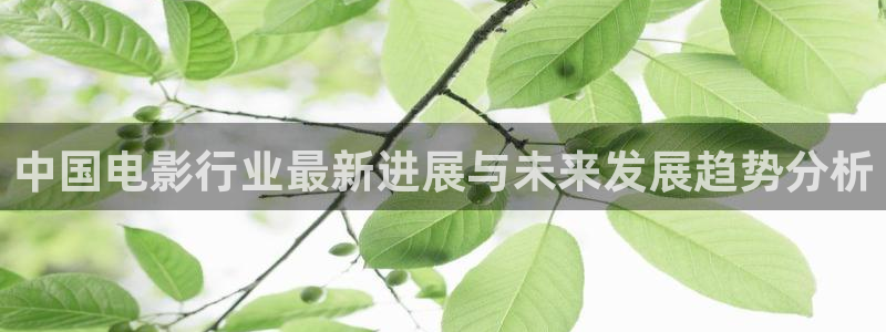 下在彩虹多多：中国电影行业最新进展与未来发展趋势分析
