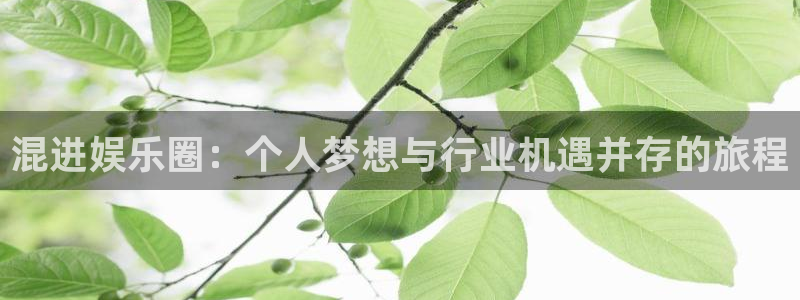 彩虹多多最新版下载：混进娱乐圈：个人梦想与行业机遇并存的旅程