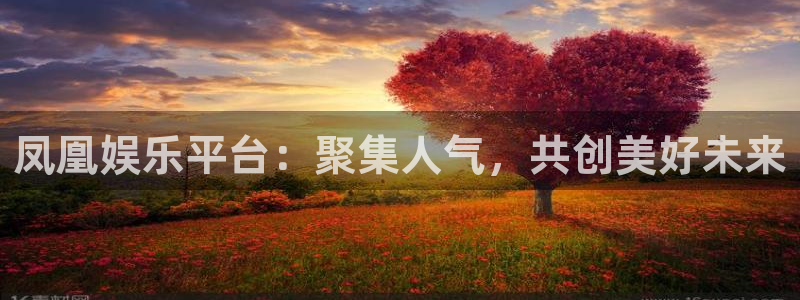 下载安装彩虹多多：凤凰娱乐平台：聚集人气，共创美好未来